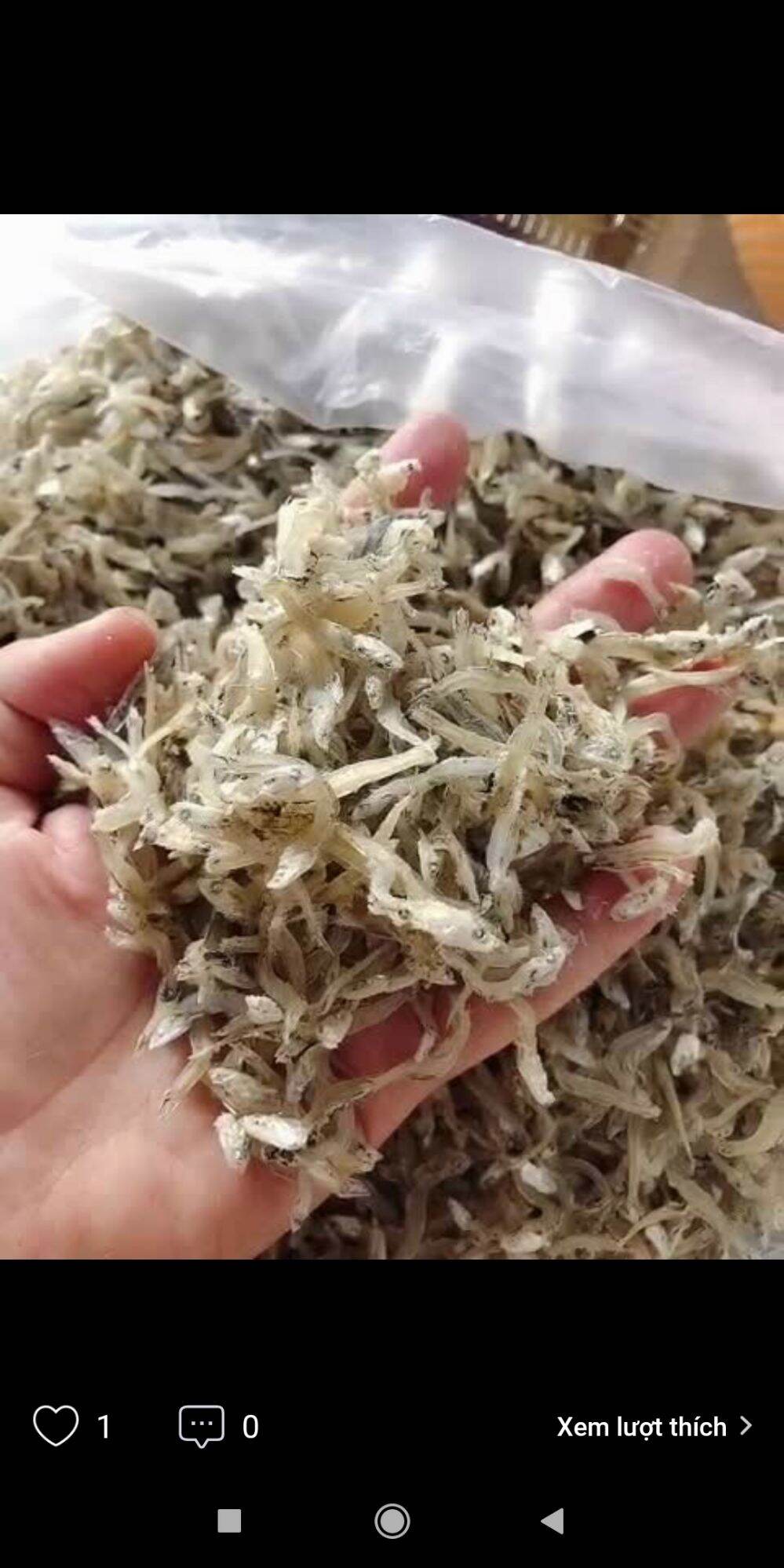Cá cơm khô thành phố biển Quy Nhơn (TÚI 500G)