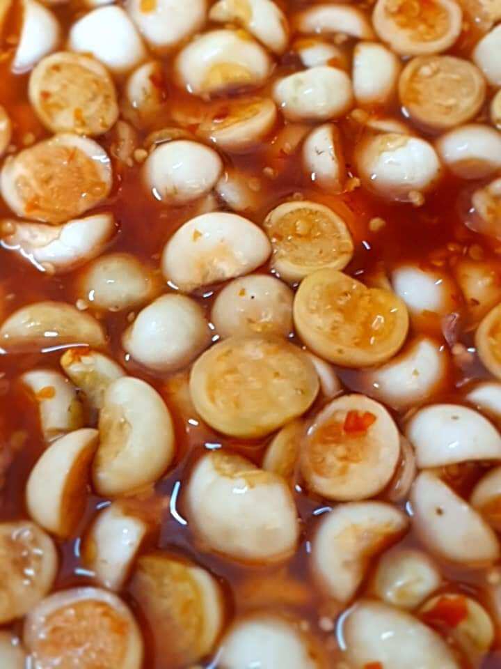 mắm cà pháo trộn mắm cá trèn