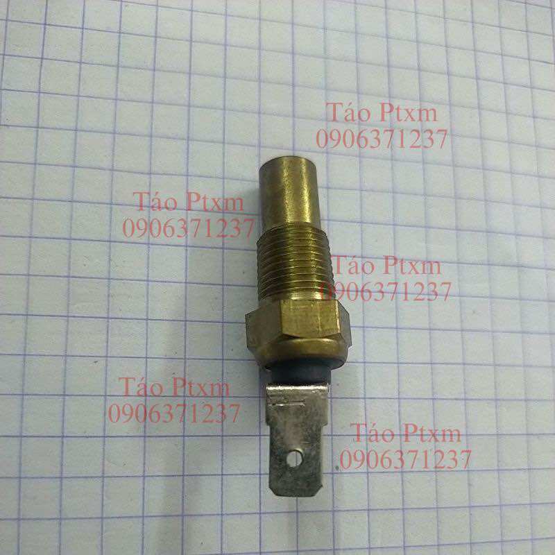 Cảm biến nước (cảm biến nhiệt) Xe Dylan