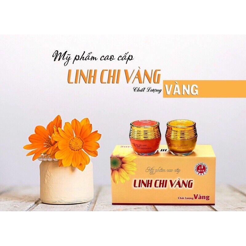 Kem nám cặp ngày và đêm linh chi vàng 36g