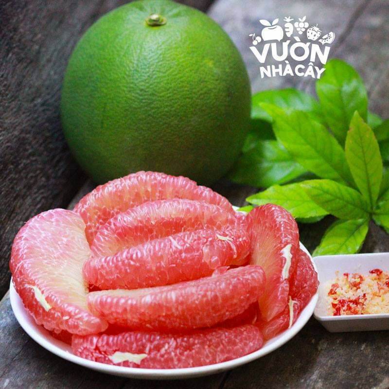 Đặt sản Bưởi Da xanh
