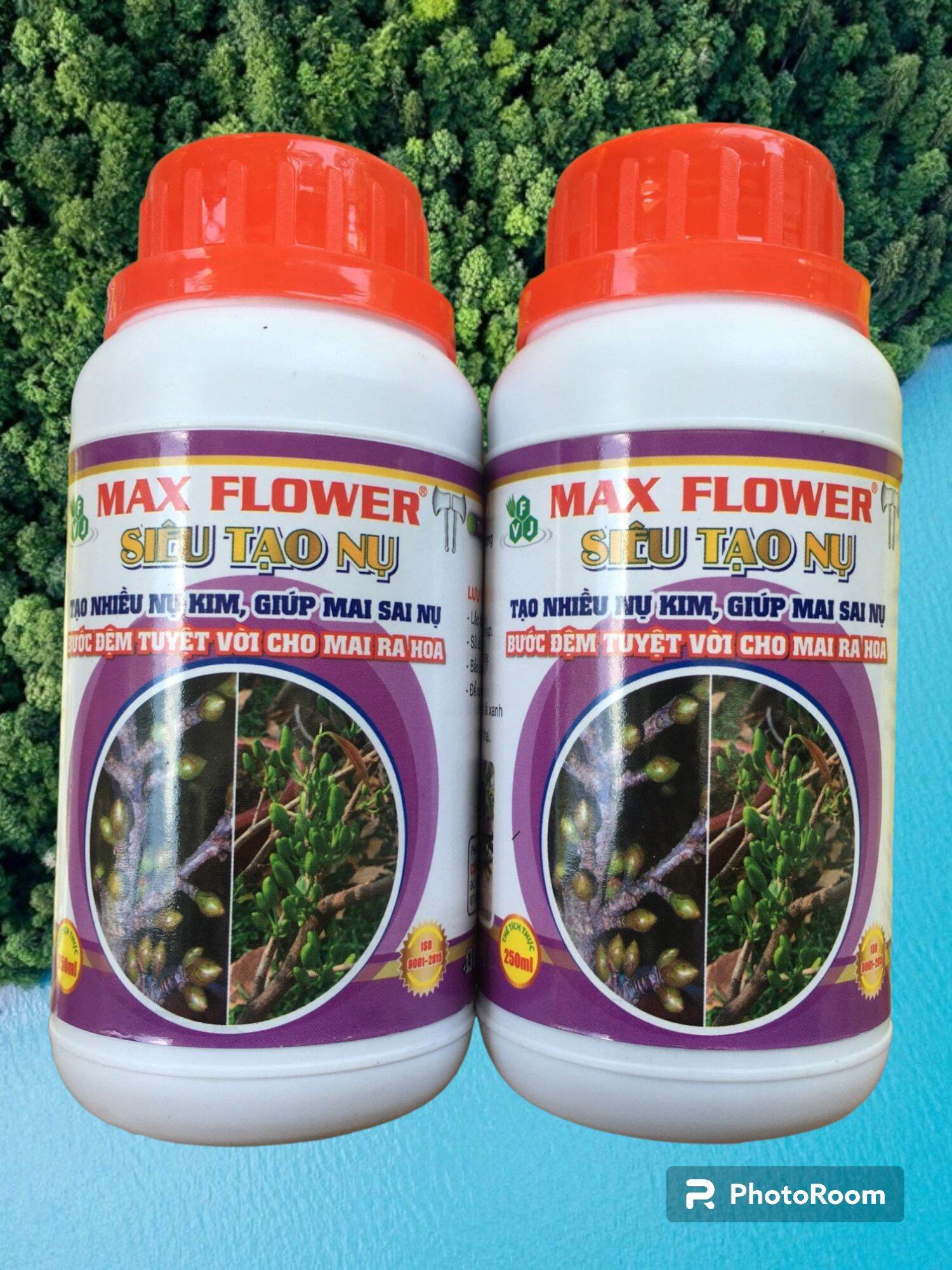 Hai chai phân bón vi lượng max flower - siêu tạo nụ chuyên mai vàng. chai 250ml