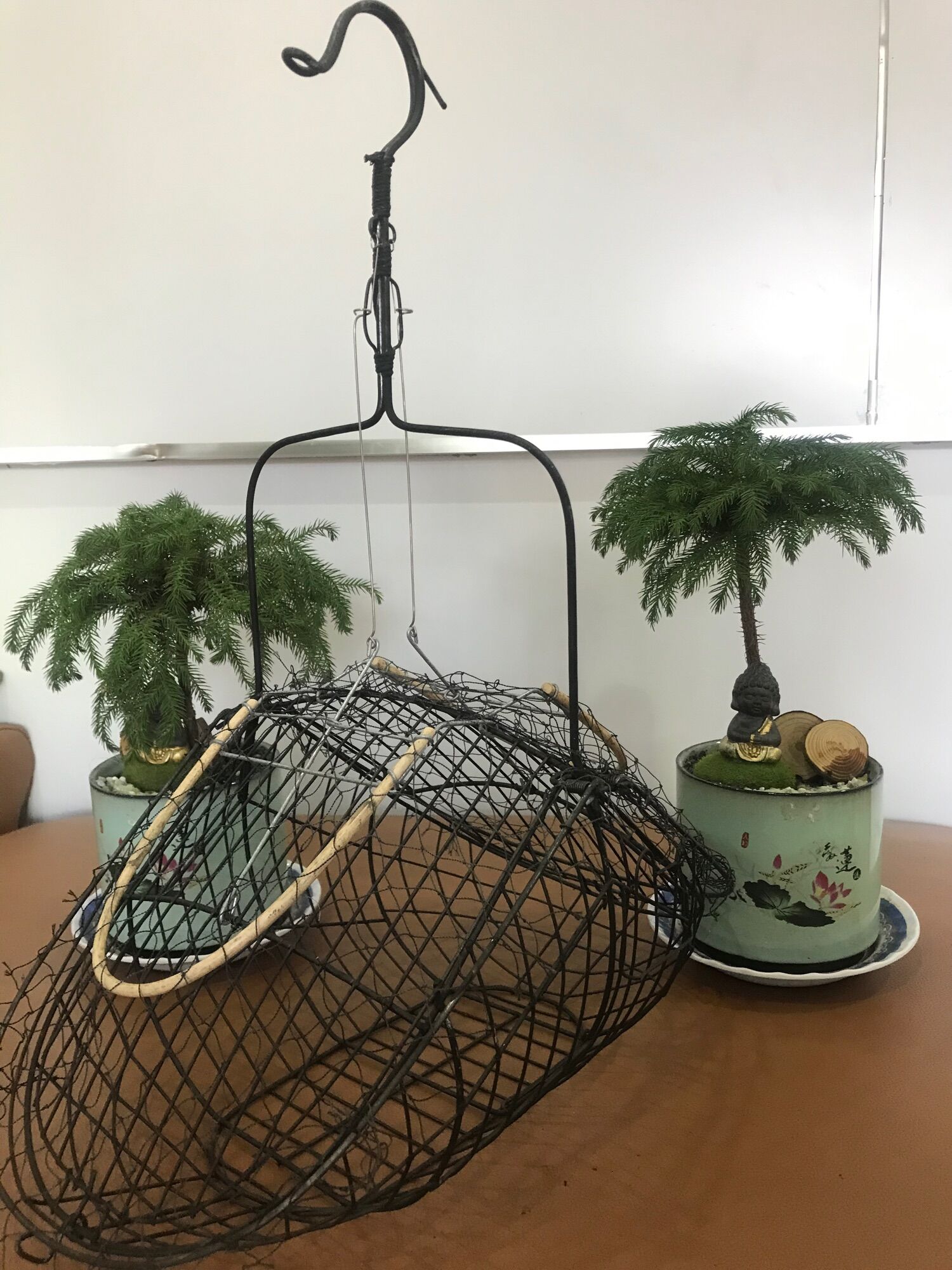 Lồng bẫy chim chào mào