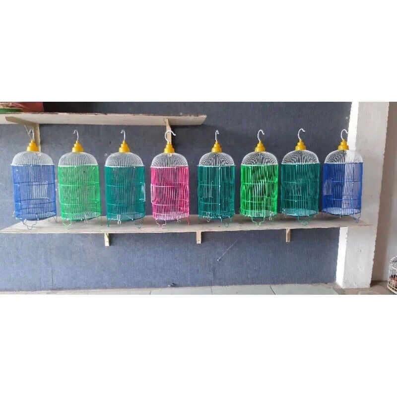 Combo 10 lồng chim hút mật, chim sâu