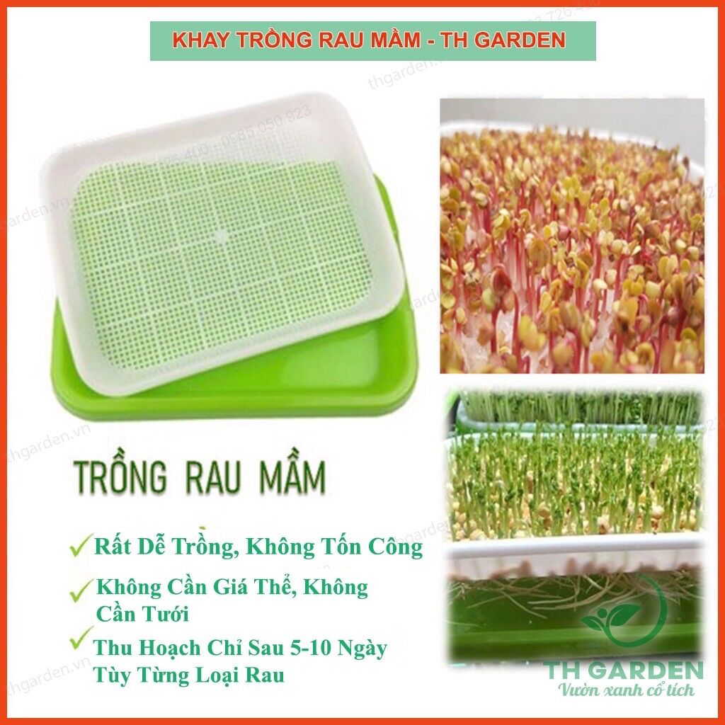 Combo 10 Khay nhựa trồng rau mầm thủy canh