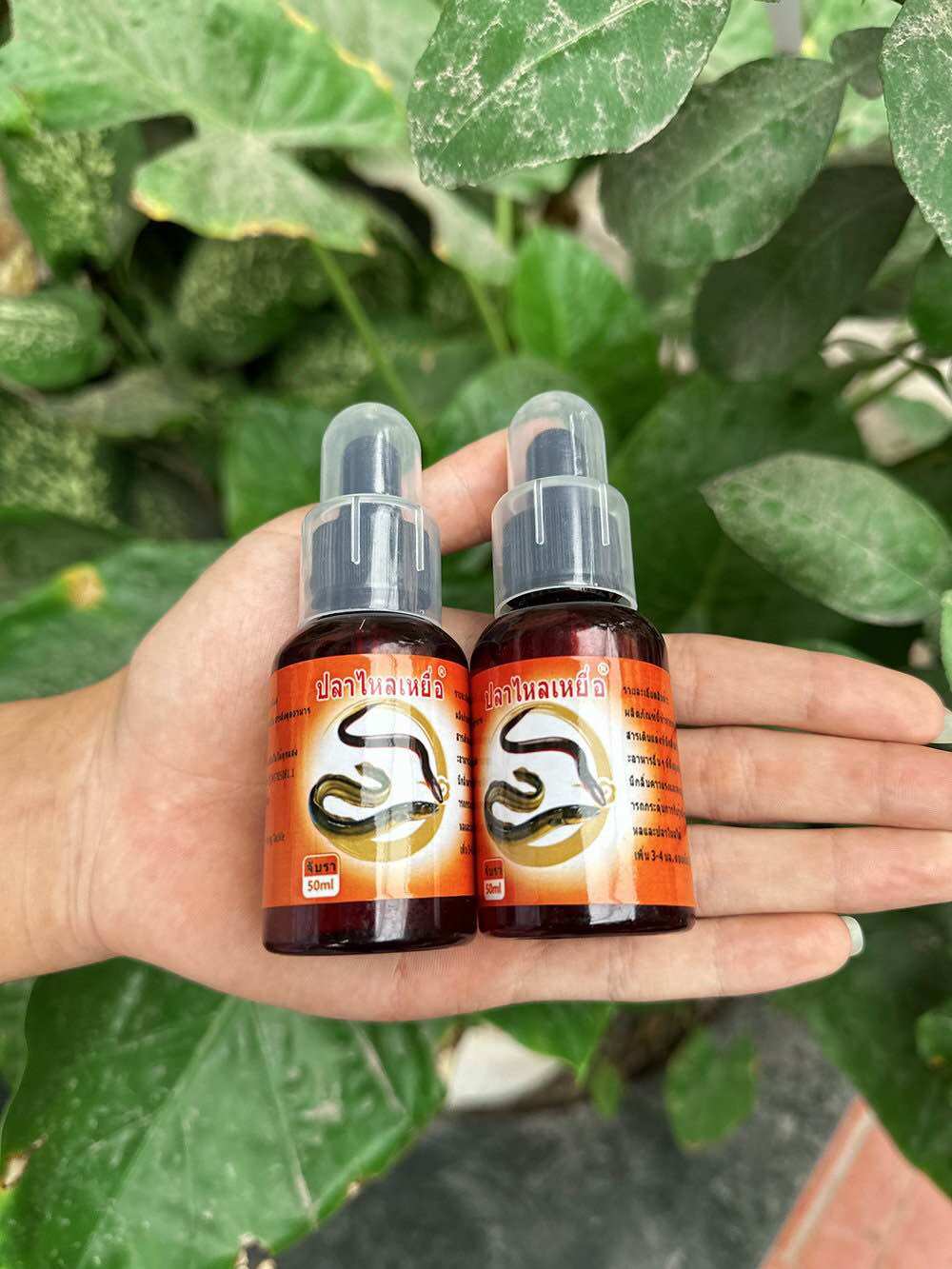 Tinh dầu dụ Lươn Chạch hàng Thái nhạy cá 50ml