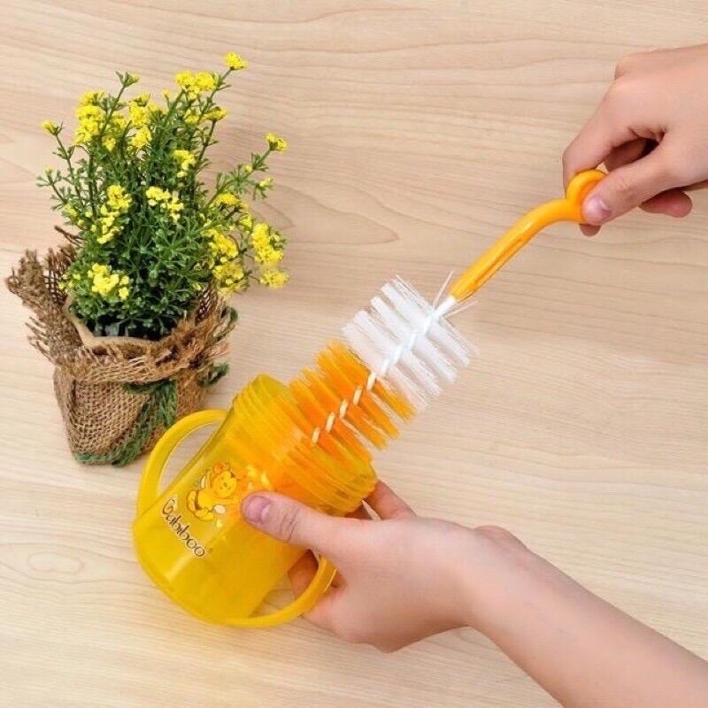 Cây súc bình sữa Faralyn
