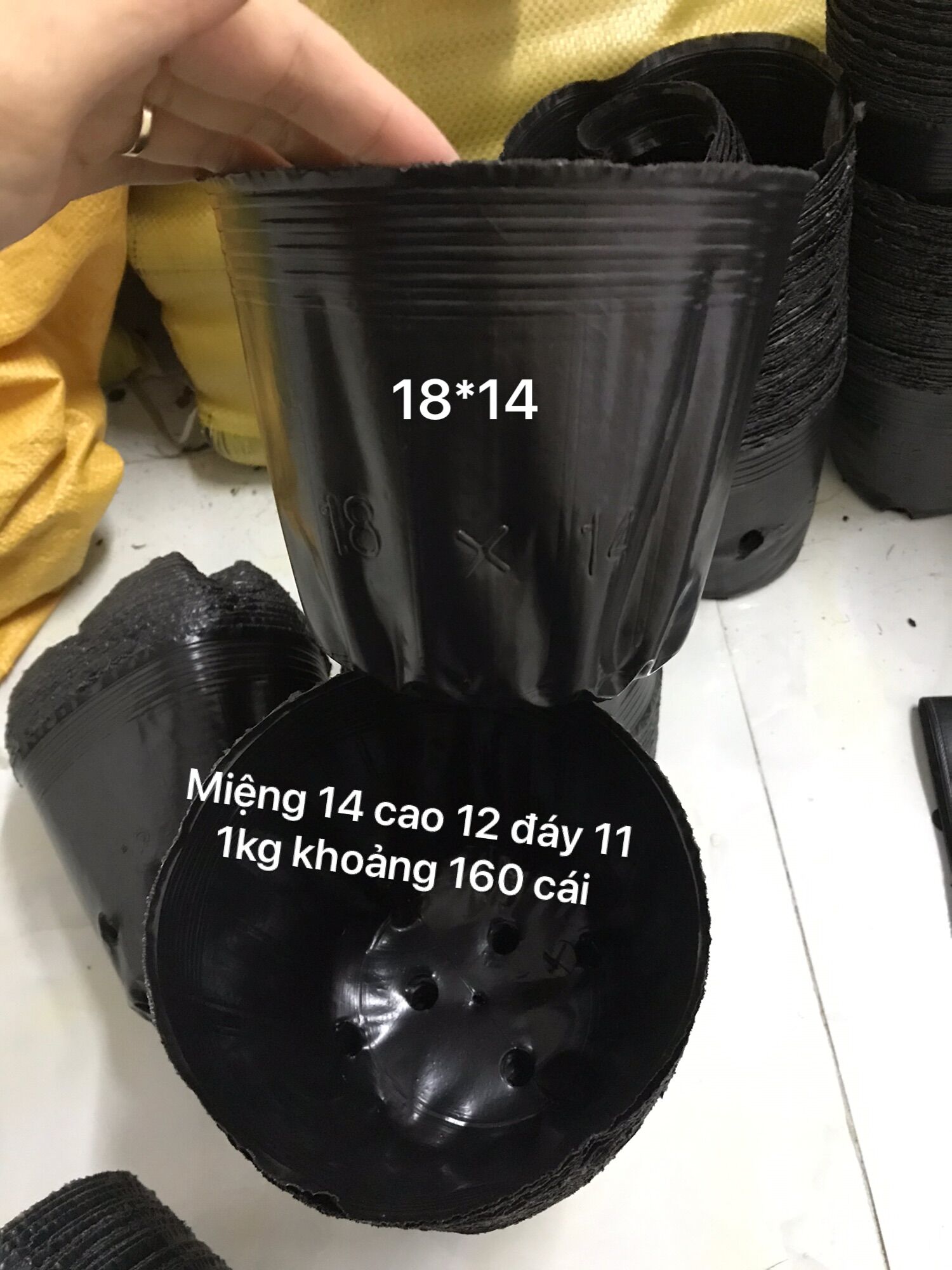 1kg bầu ươm cây 18.14(160 cái/kg)