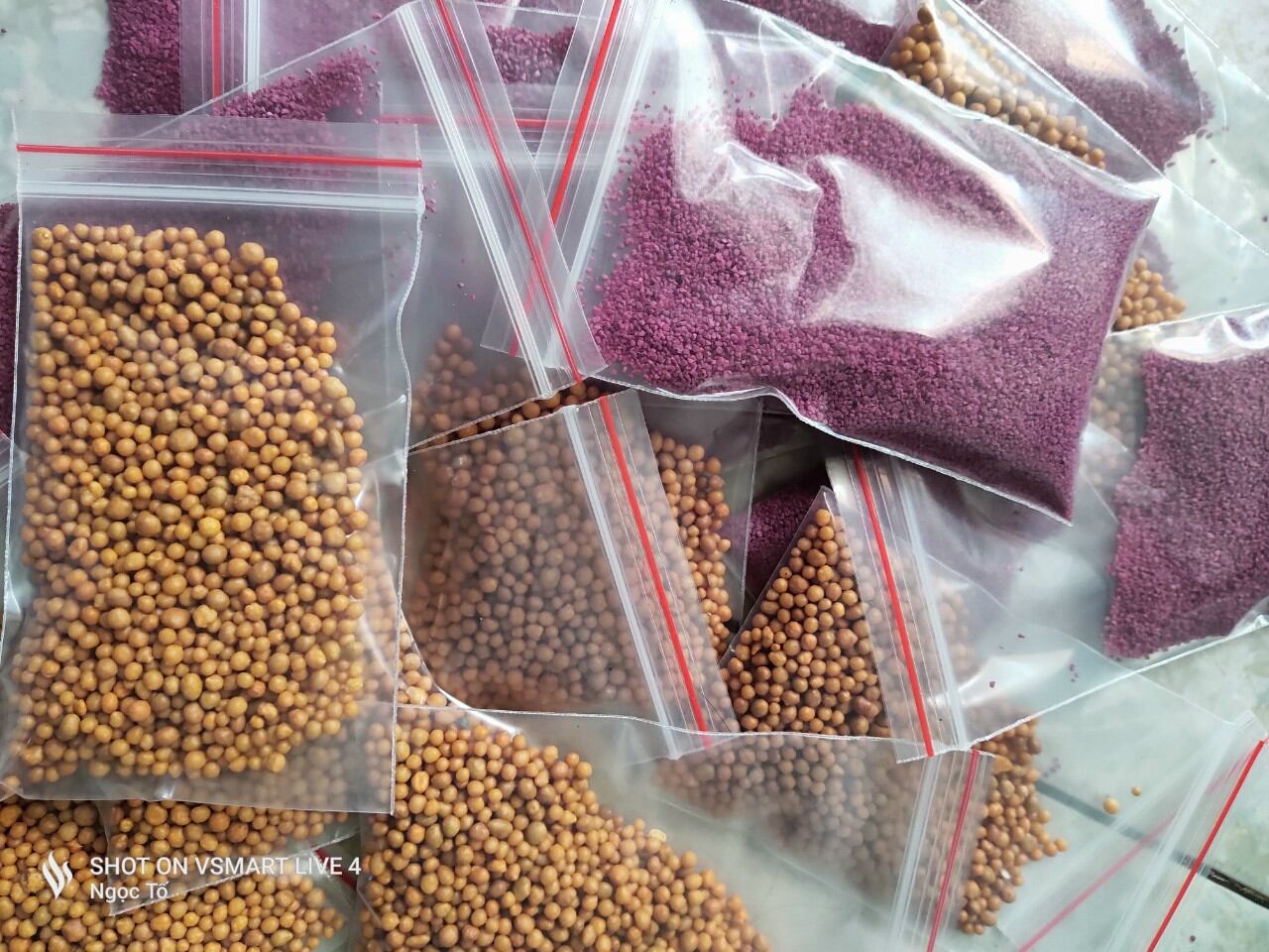 100gr thuốc Tím trị rệp Starkle-G thái lan