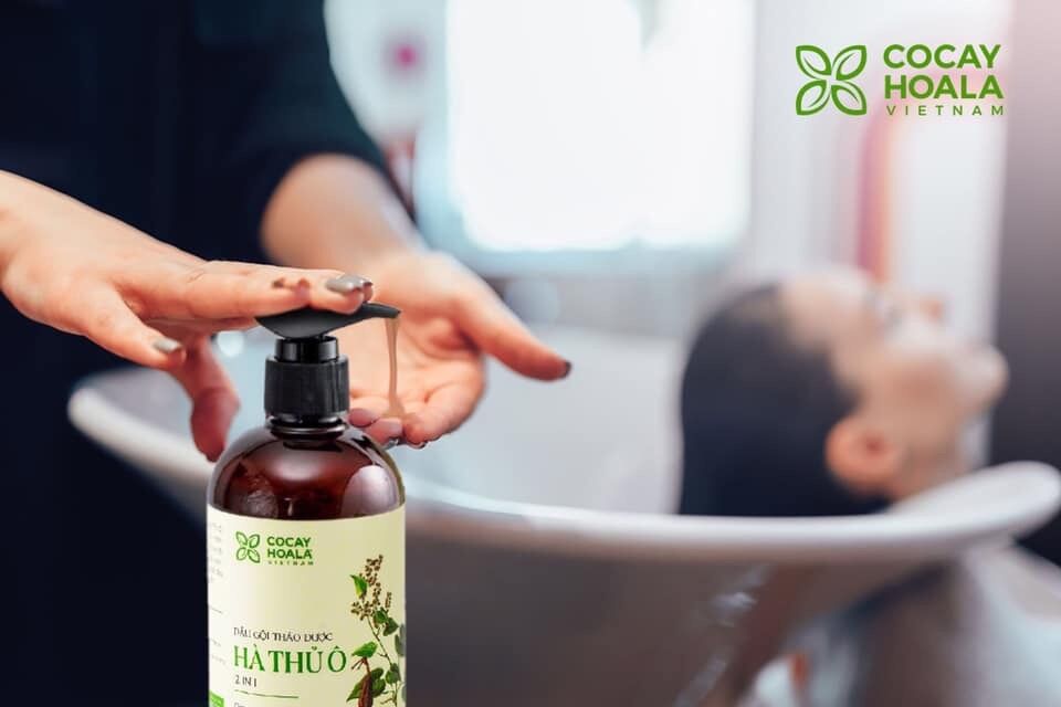 [ DATE 2023] Dầu gội thảo mộc Hà Thủ Ô dành cho tóc bạc