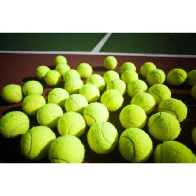 (FESHIP) 50 QUẢ BÓNG TENNIS DÙNG CHO HUẤN LUYỆN CÚ QUẢ