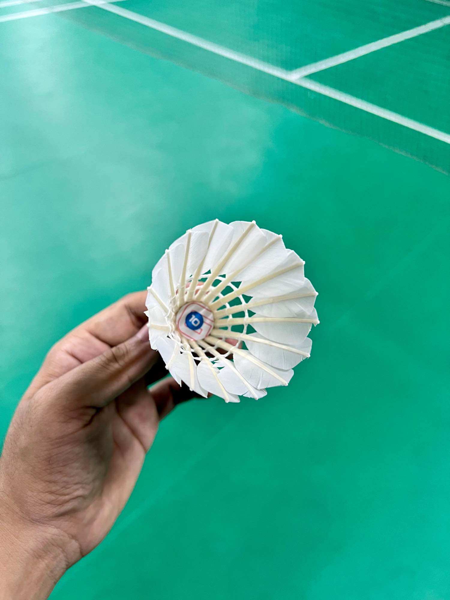 Quả cầu lông Dmantis G10 Siêu bền, chuẩn thi đấu