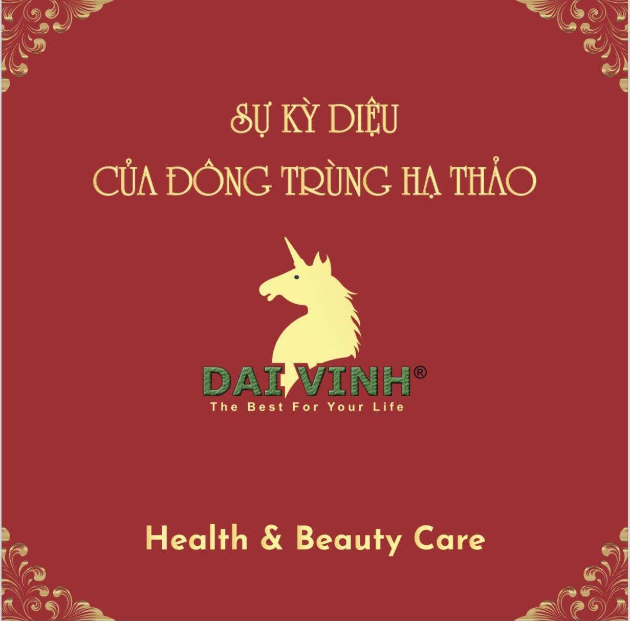 Đông trùng hạ thảo Đại Vinh