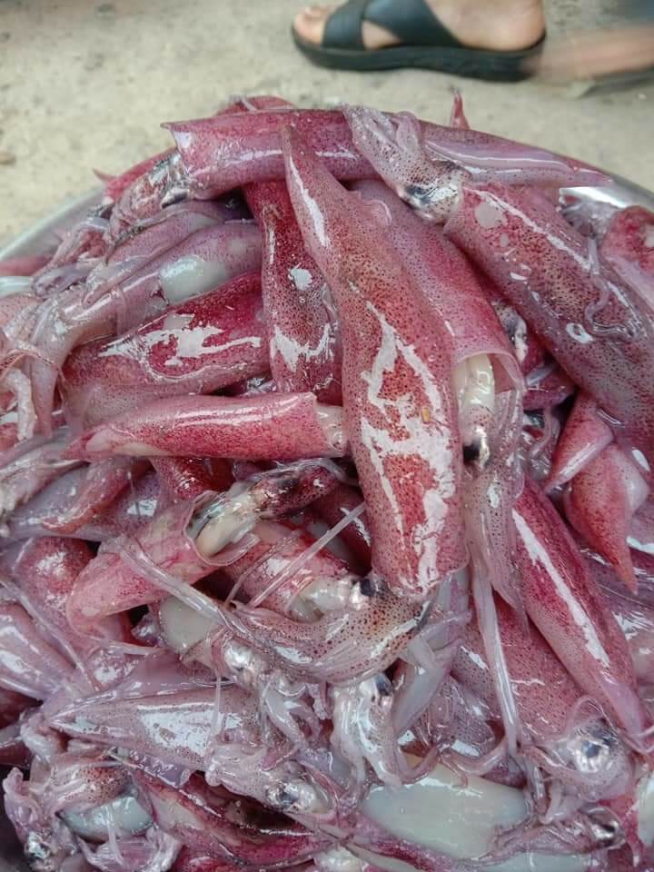 Mực muối tươi hũ 500gr