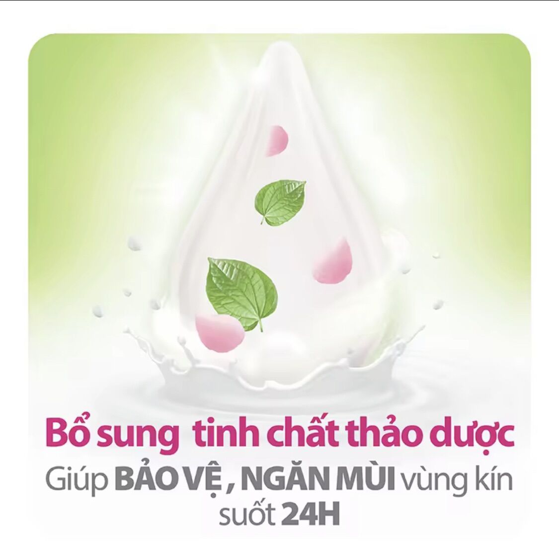 Dung Dịch Vệ Sinh Phụ Nữ LACTACYD Lá Trầu 250ml