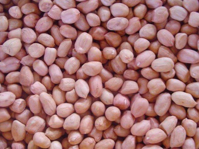 Đậu phộng sống nhà làm (500gram)