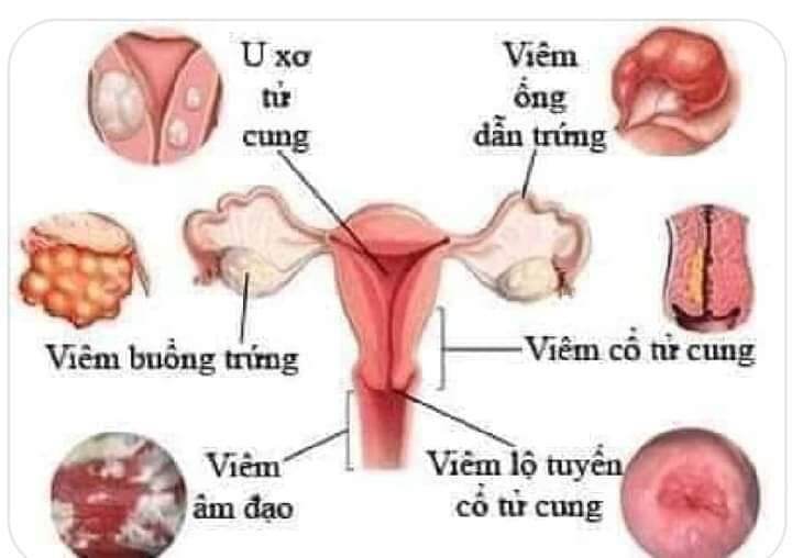 VIÊN DƯỠNG NHAN - TIENS (60v/lọ)