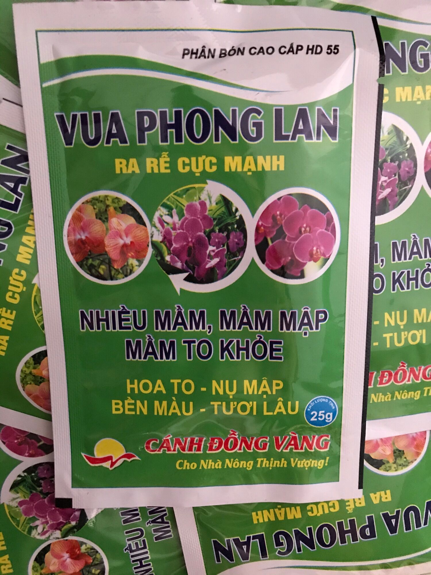 5 gói vua phong lan, mầm mập, mầm to khoẻ, gói 25gam