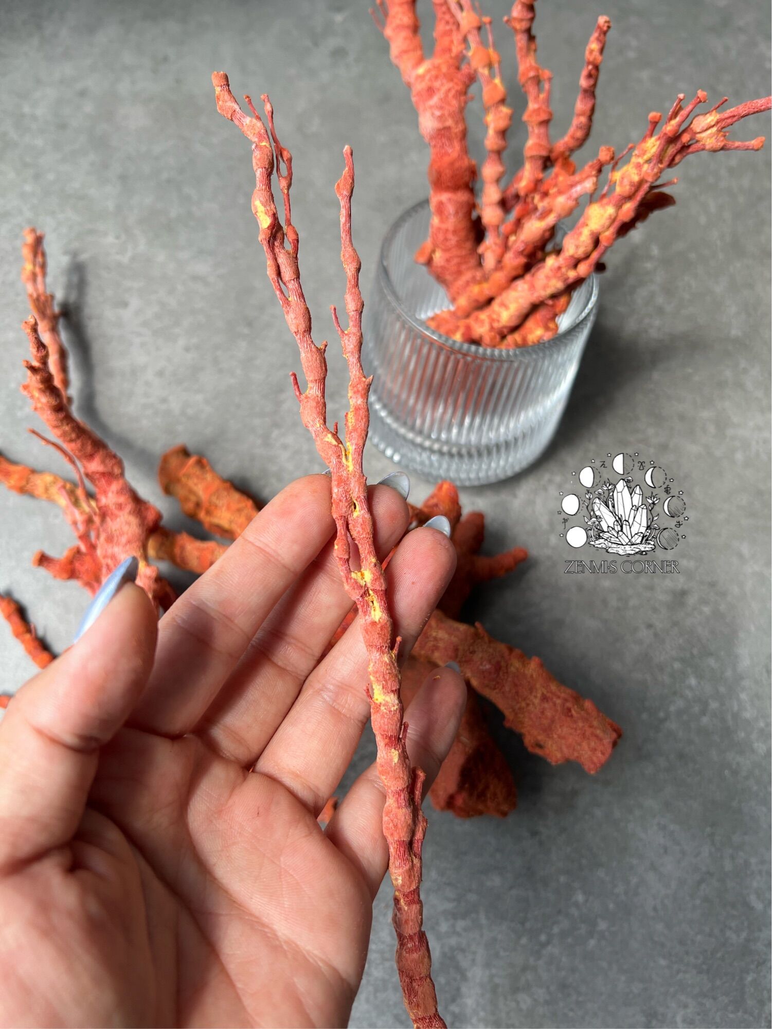 RED CORAL - 100g San Hô Đỏ Tự Nhiên