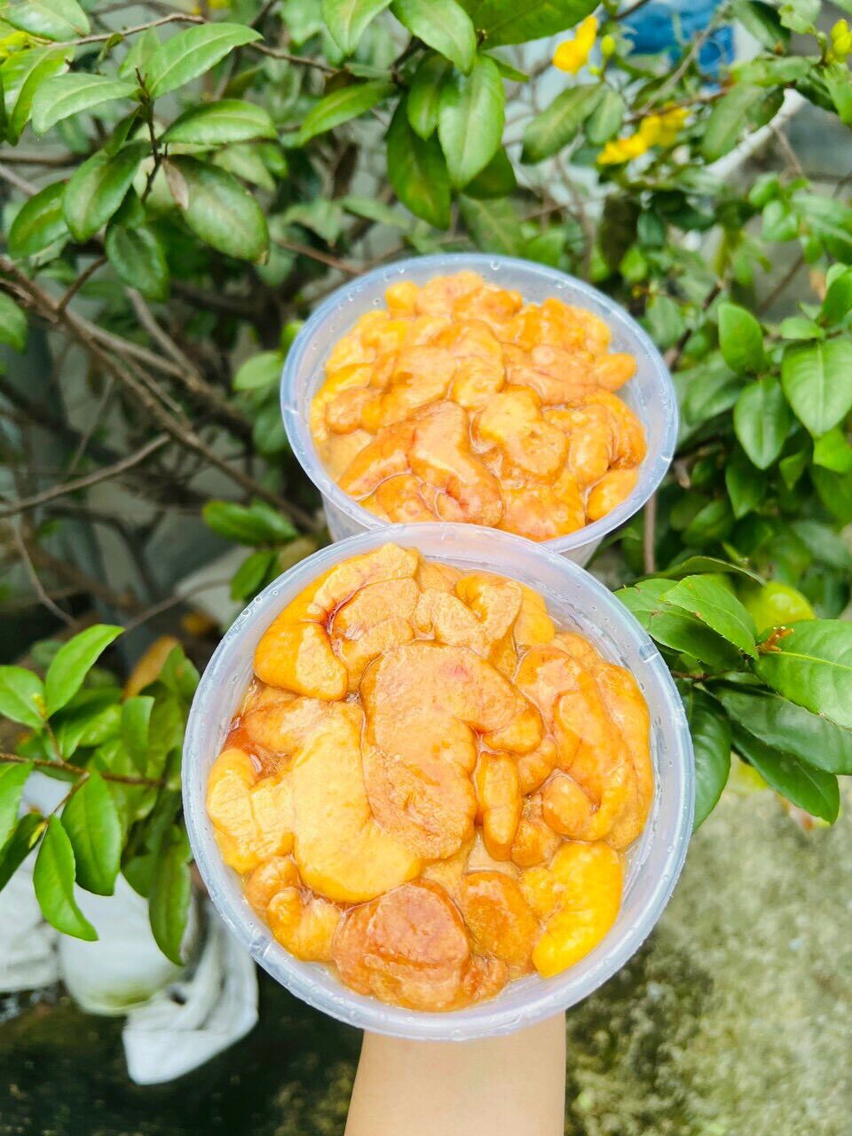 Trứng cá sặc bổi 500g