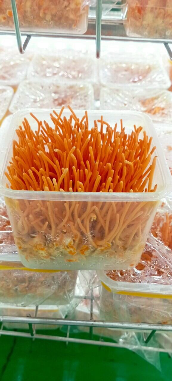 68k/1hộp đông trùng hạ thảo tươi cao cấp 200g