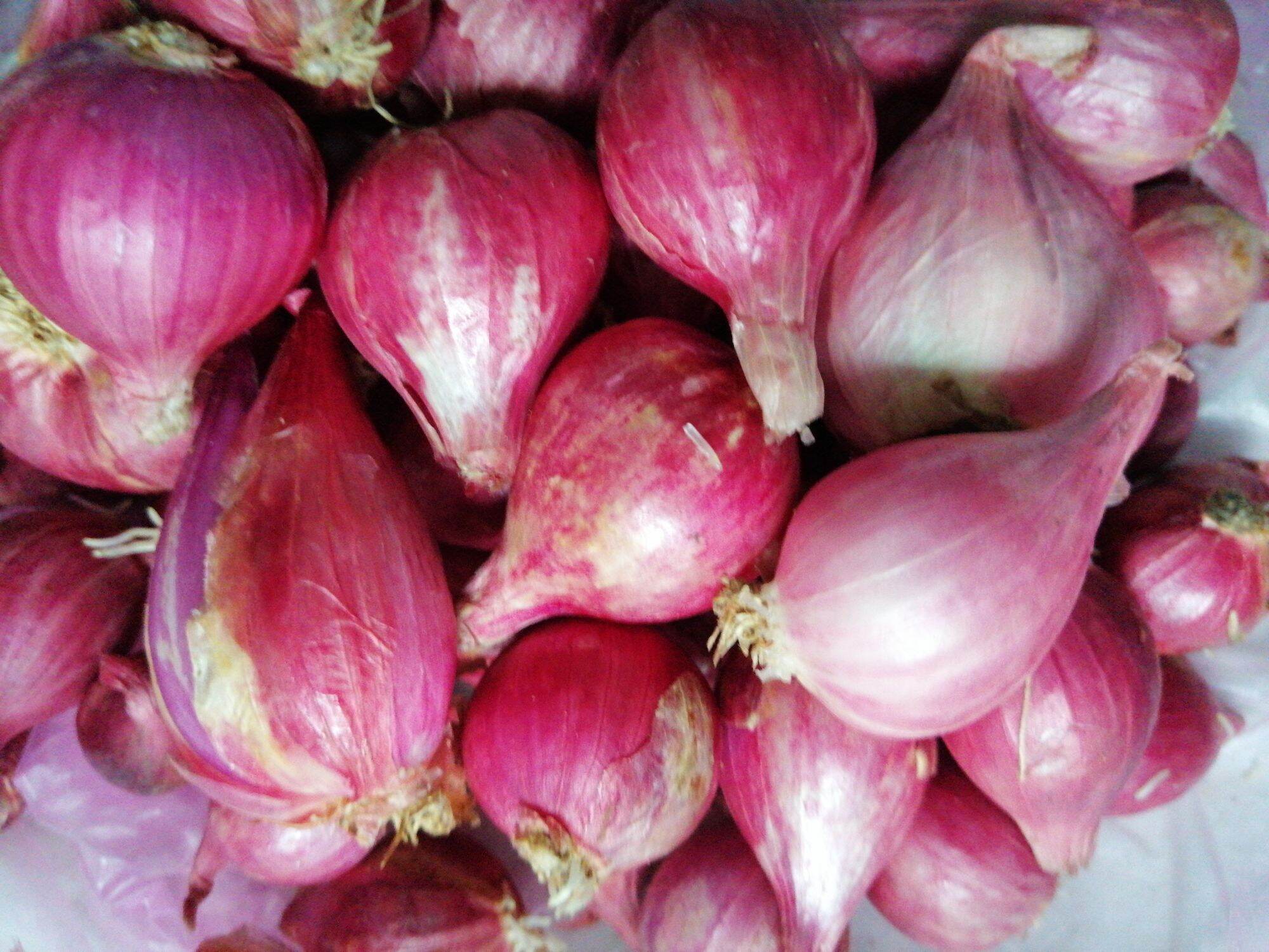 1kg hành hương tím, hành tím lý sơn ( loại 1 củ to)