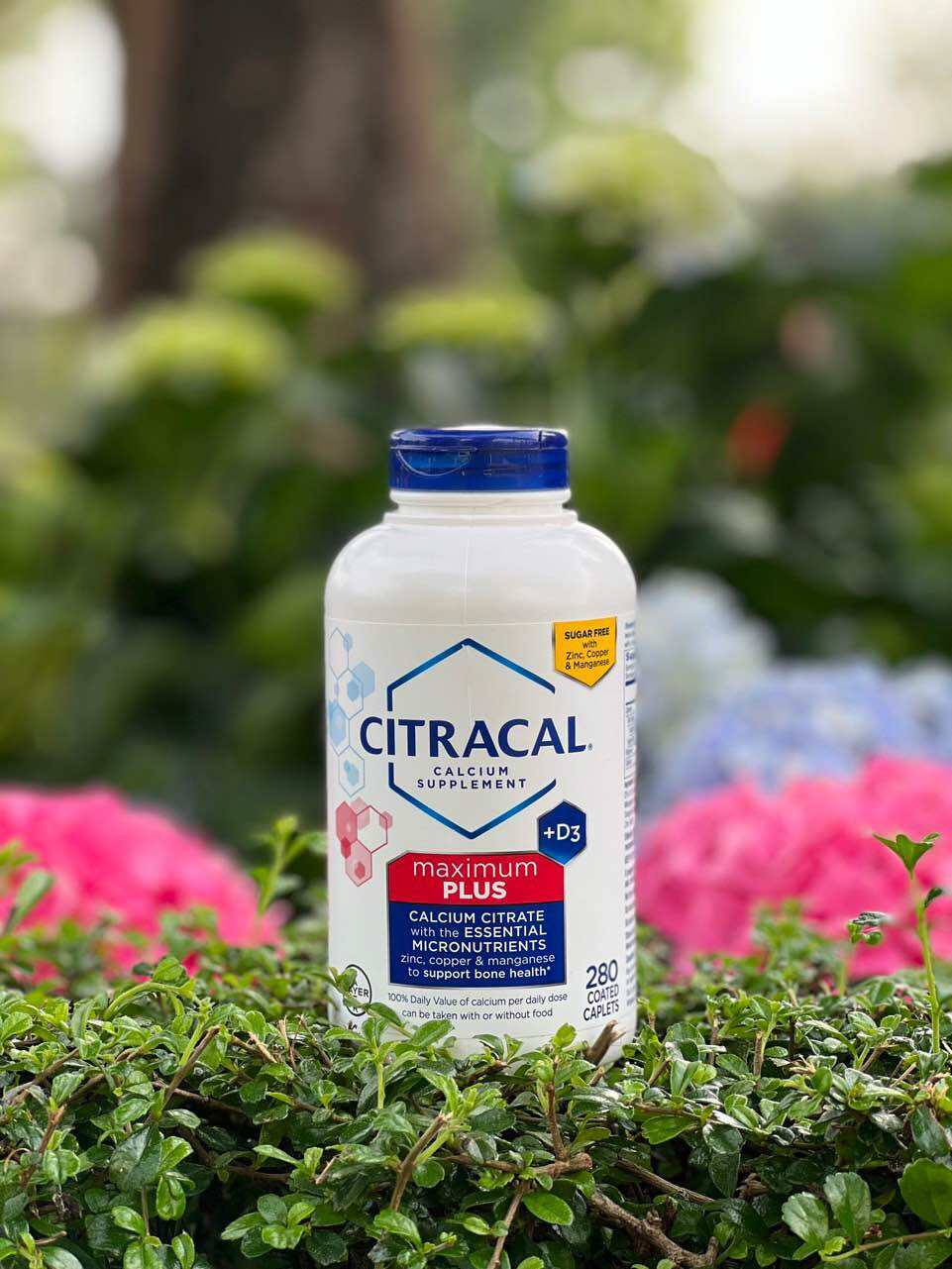 Citracal calcium supplement +D3 maximum plus 280 viên
