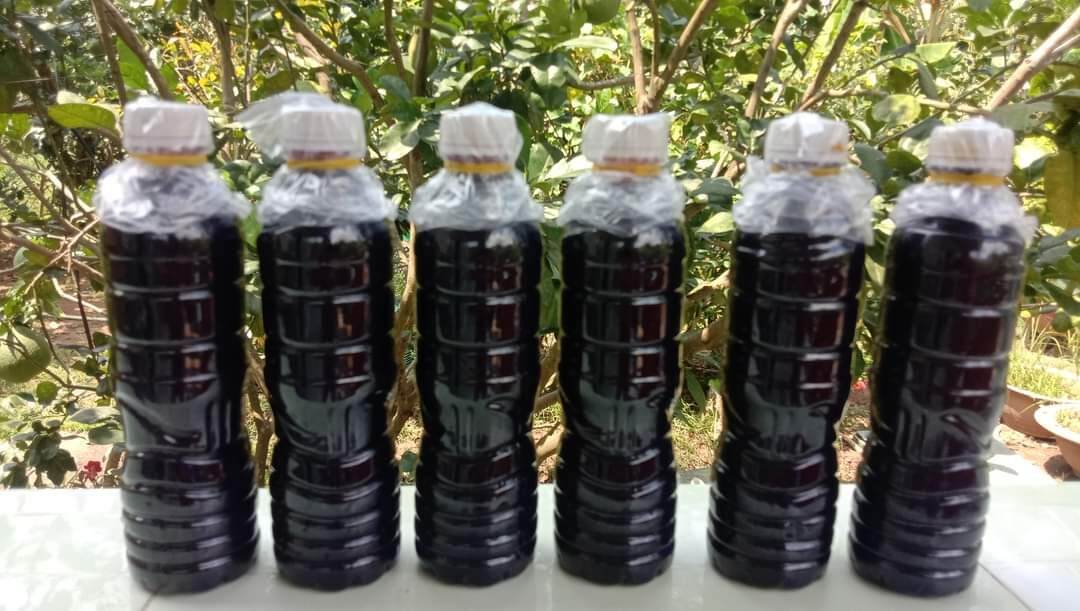Nước màu dừa Bến Tre mẹ làm 1 lít (2 chai x 500ml) (Cam kết 100% nước dừa nguyên chất)