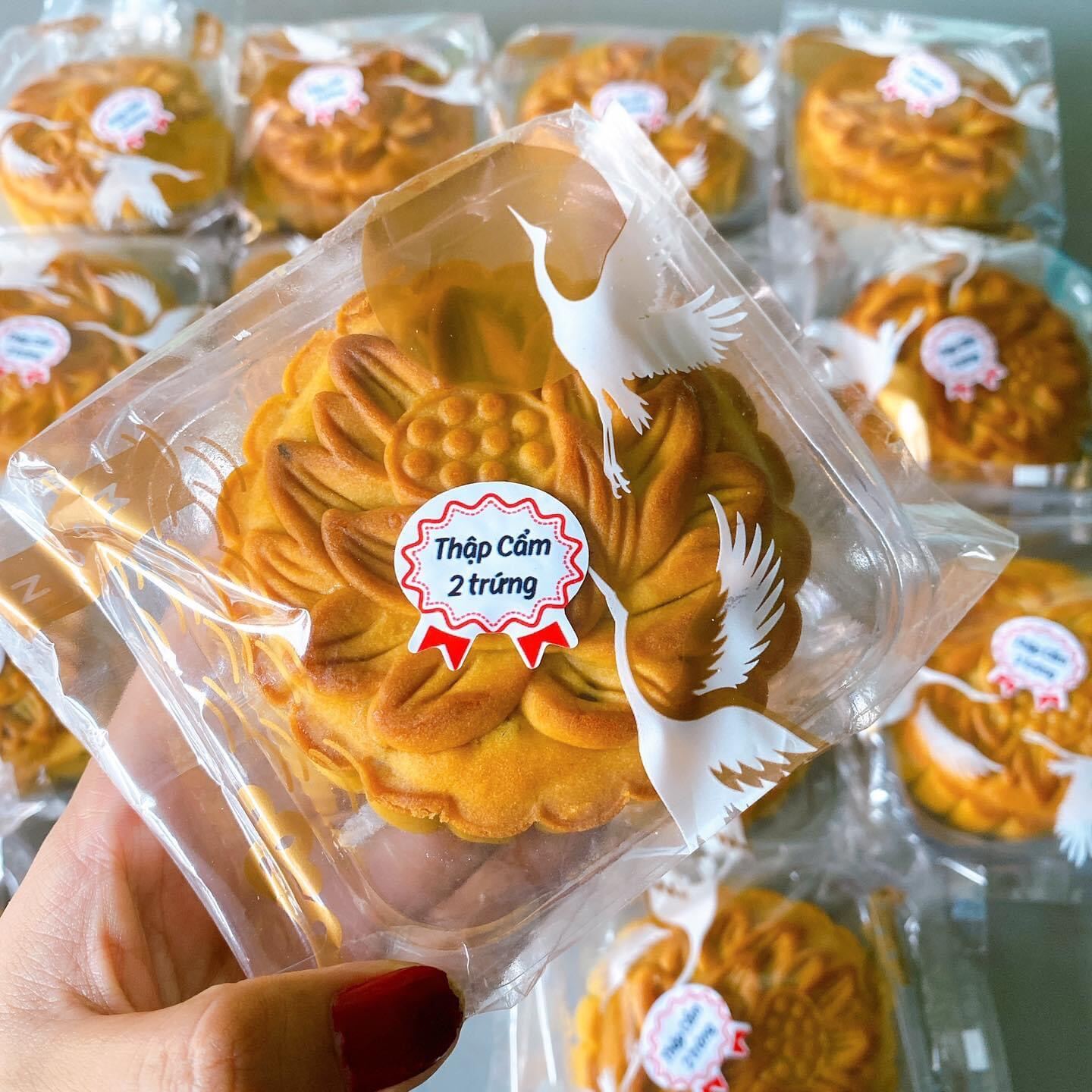 Bánh trung thu thập cẩm 2 trứng 220g (Bánh trung thu homemade)