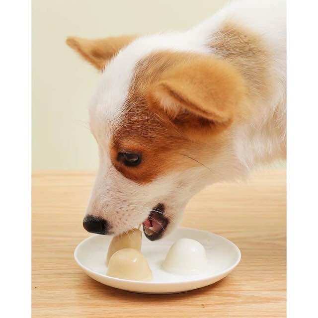 Goat Milk Pudding with Calcium Supplement for Pets (15G/Tablet)