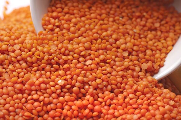 500G Hạt đậu lăng đỏ Canada đã tách vỏ