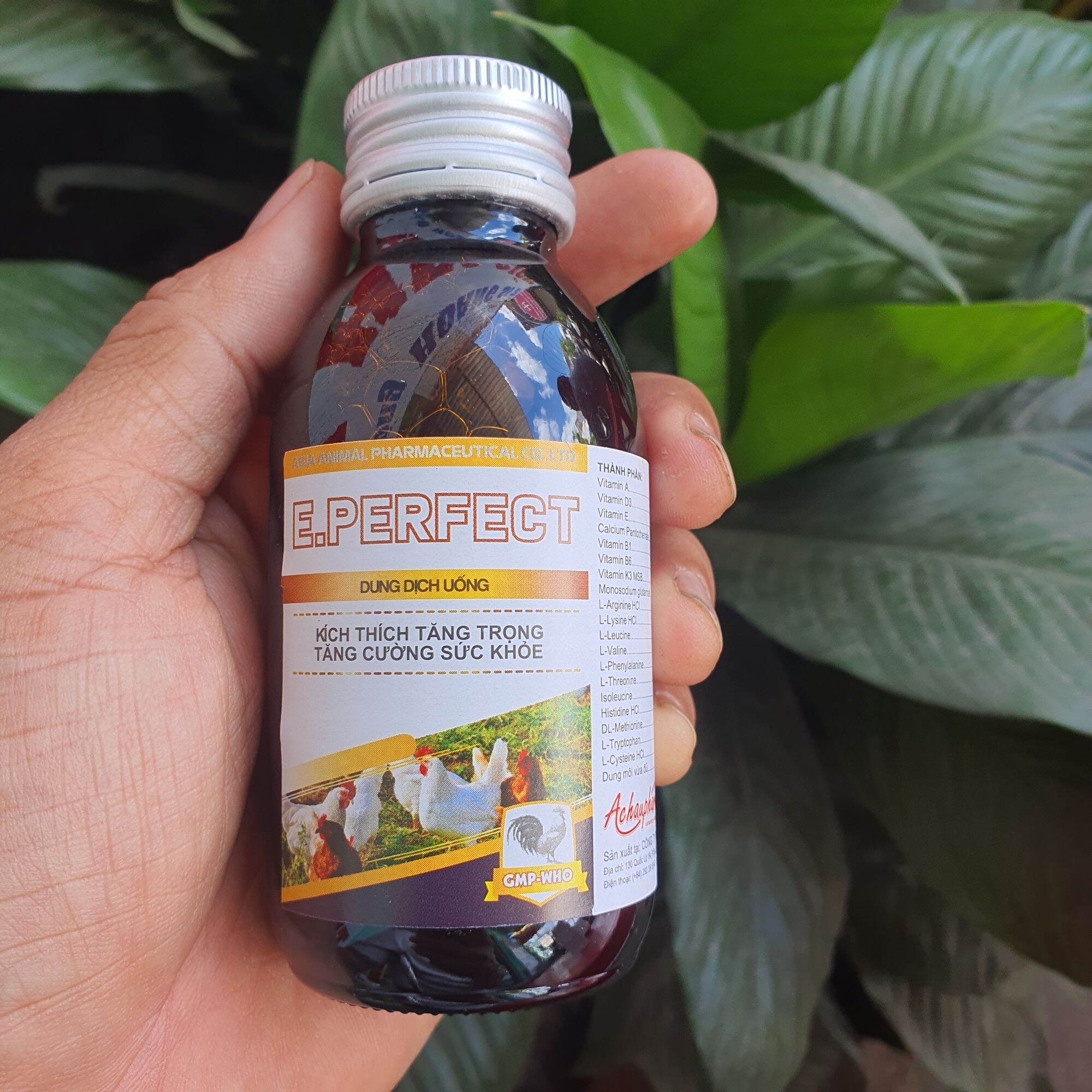 E perfect thuốc bổ hoàn hảo cho gà