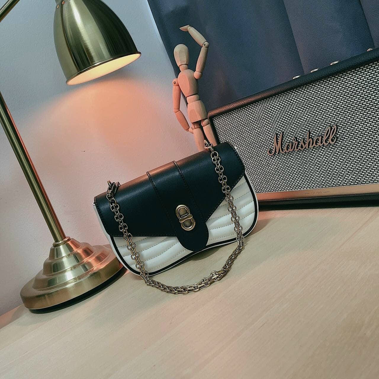 Túi đeo chéo siêu hot [2 DÂY] New Model: CK2-80151129