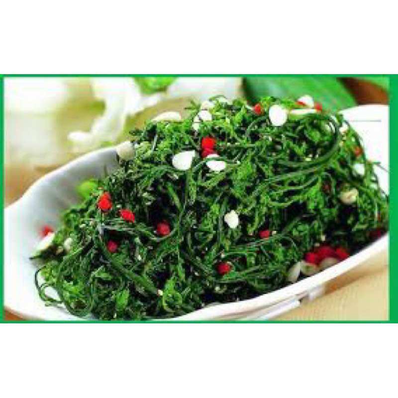 Cây Rau Rớn ( Rau Dớn)