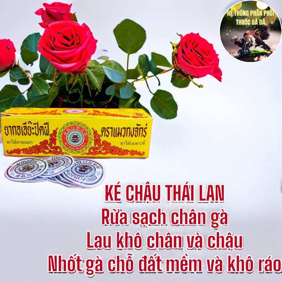 COMBO 2 MIẾNG DÁN KÉ CHẬU CHO GÀ ĐÁ