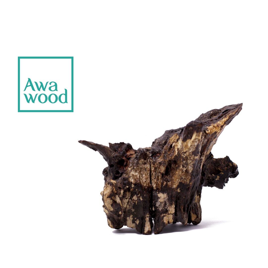 Lũa thô dùng để ghép lan tạo layout