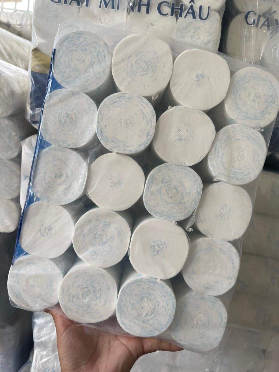 Giấy vệ sinh in hình cá heo xanh