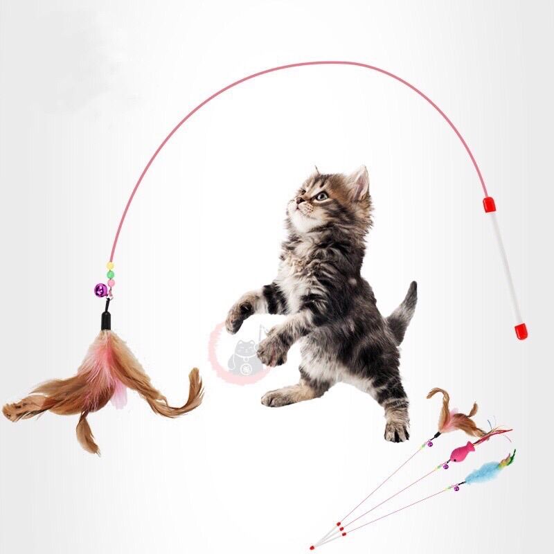 Đô chơi cho mèo - cần câu mèo/ gây chọc mèo lông gà