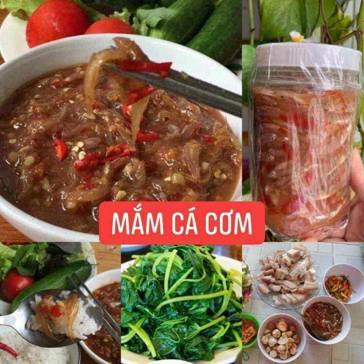 Mắm cá cơm