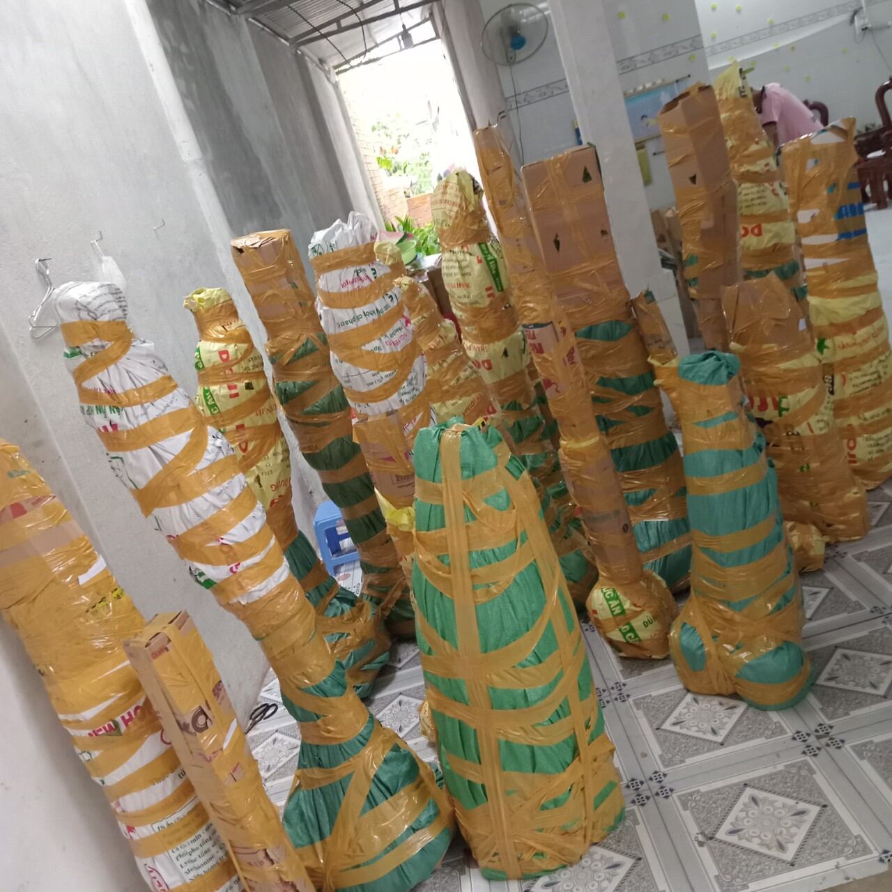 Mai cao 1,2 mét trở lên
