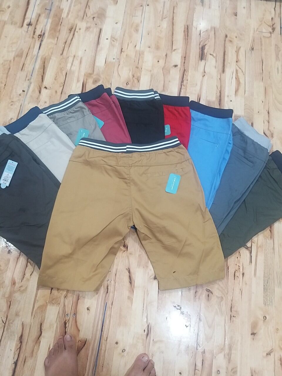 Quần sọt lưng thun nhiều màu nhiều size