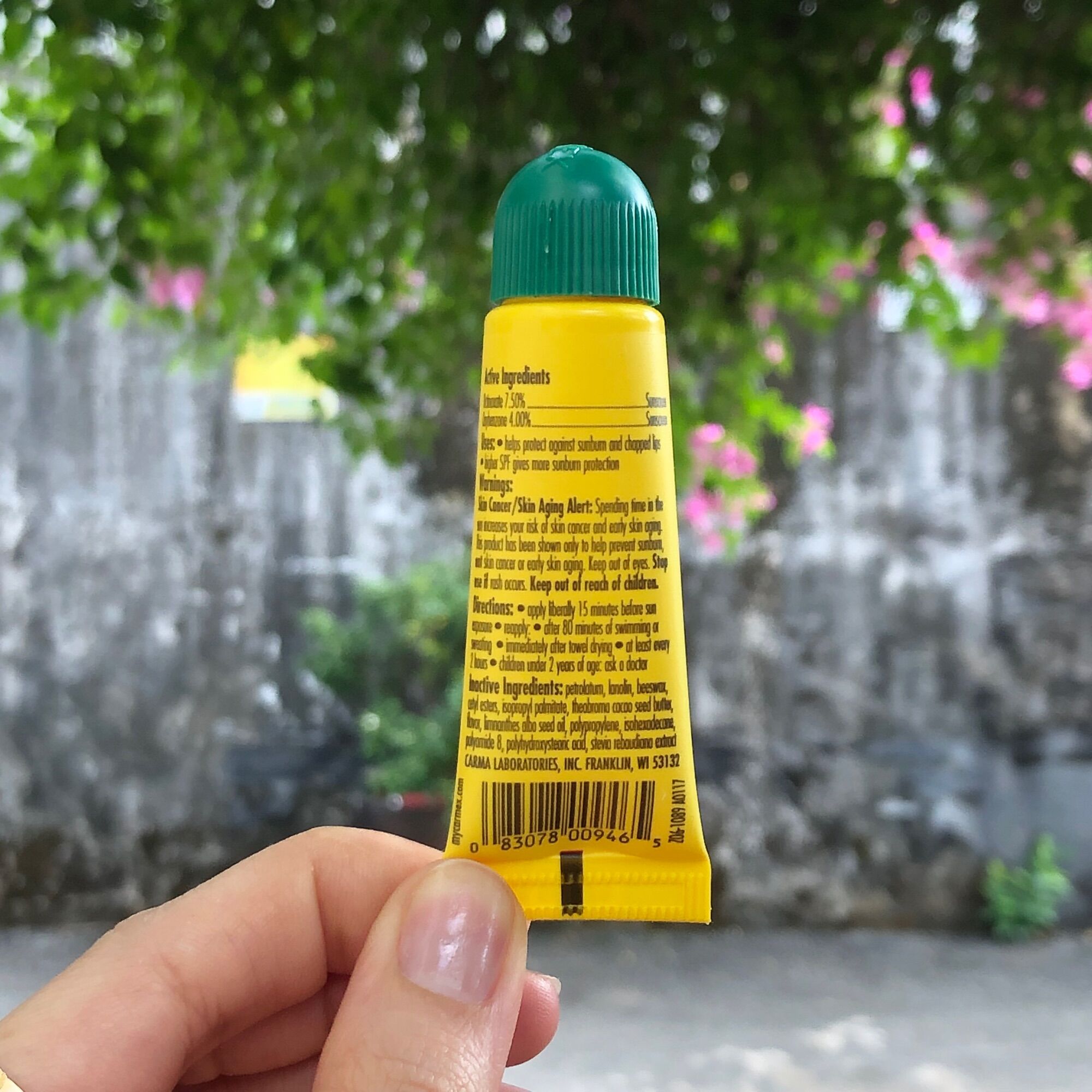 Son dưỡng môi Carmex Moisturizing Lip Balm