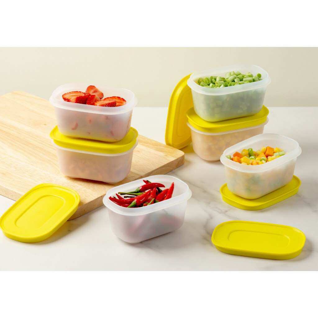 BỘ 6 HỘP TRỮ ĐÔNG MINI FREEZERMATE GEN II 170ml (màu ngẫu nhiên)