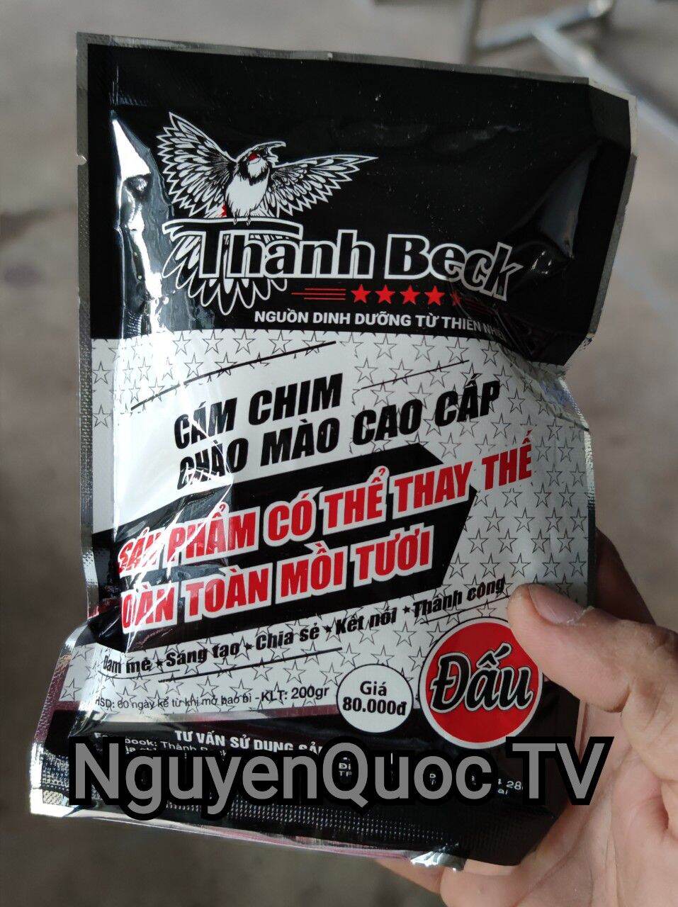 Cám đấu chào mào thành beck