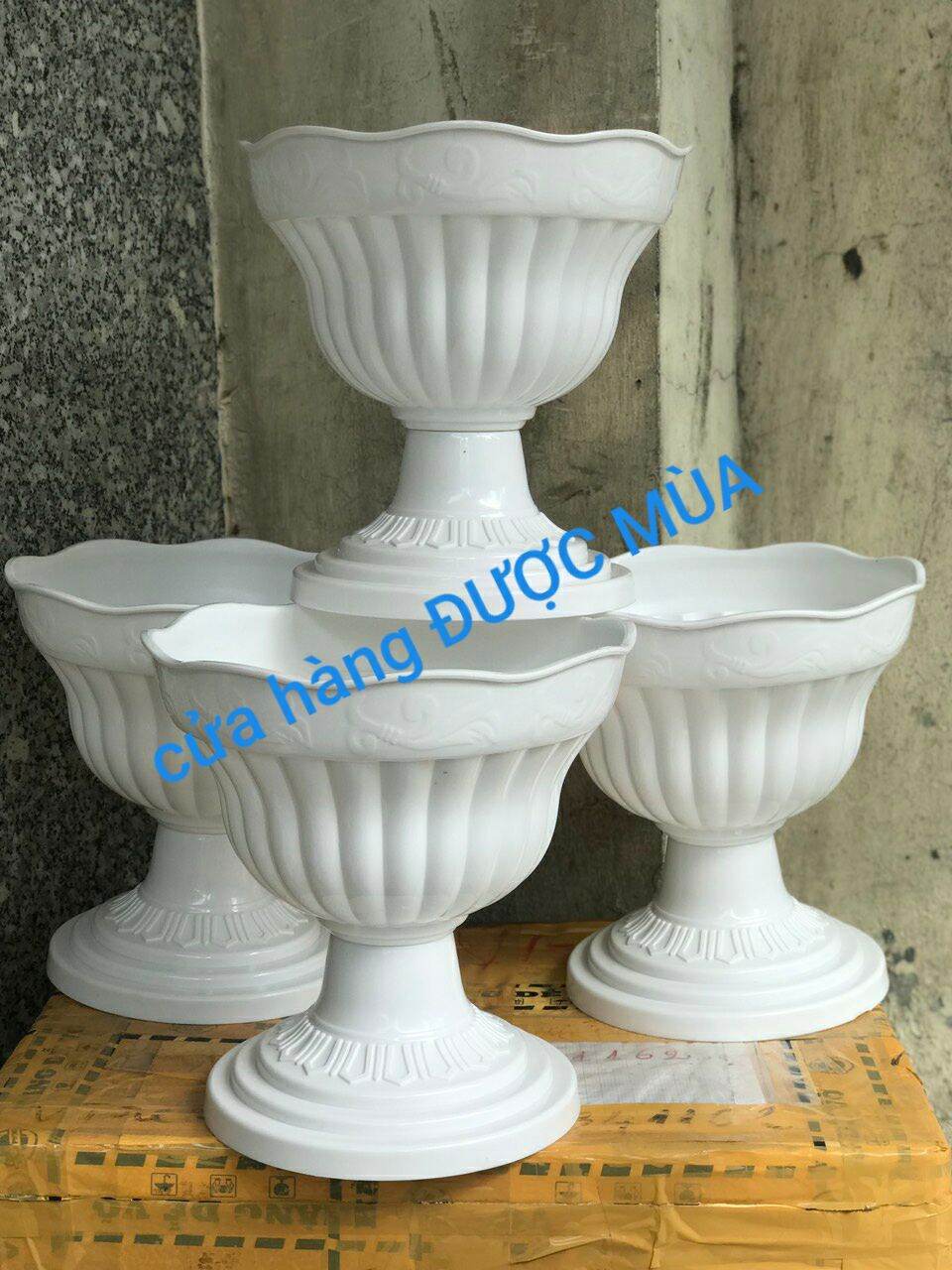 Bán sỉ 10 chậu ly chân đế dáng cao 26x26cm