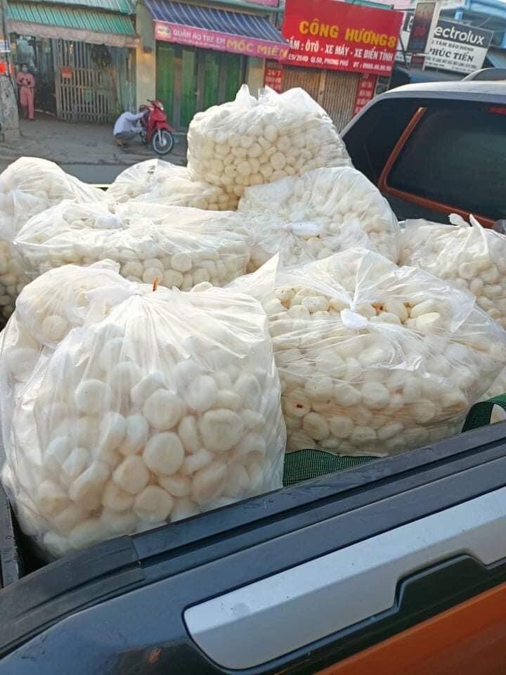 Củ năng tươi gọt vỏ 500g