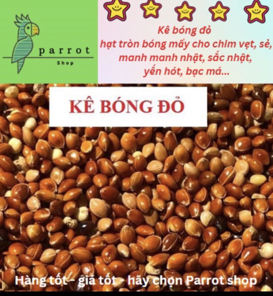 500g kê bóng đỏ cho chim cảnh, vẹt, yến phụng