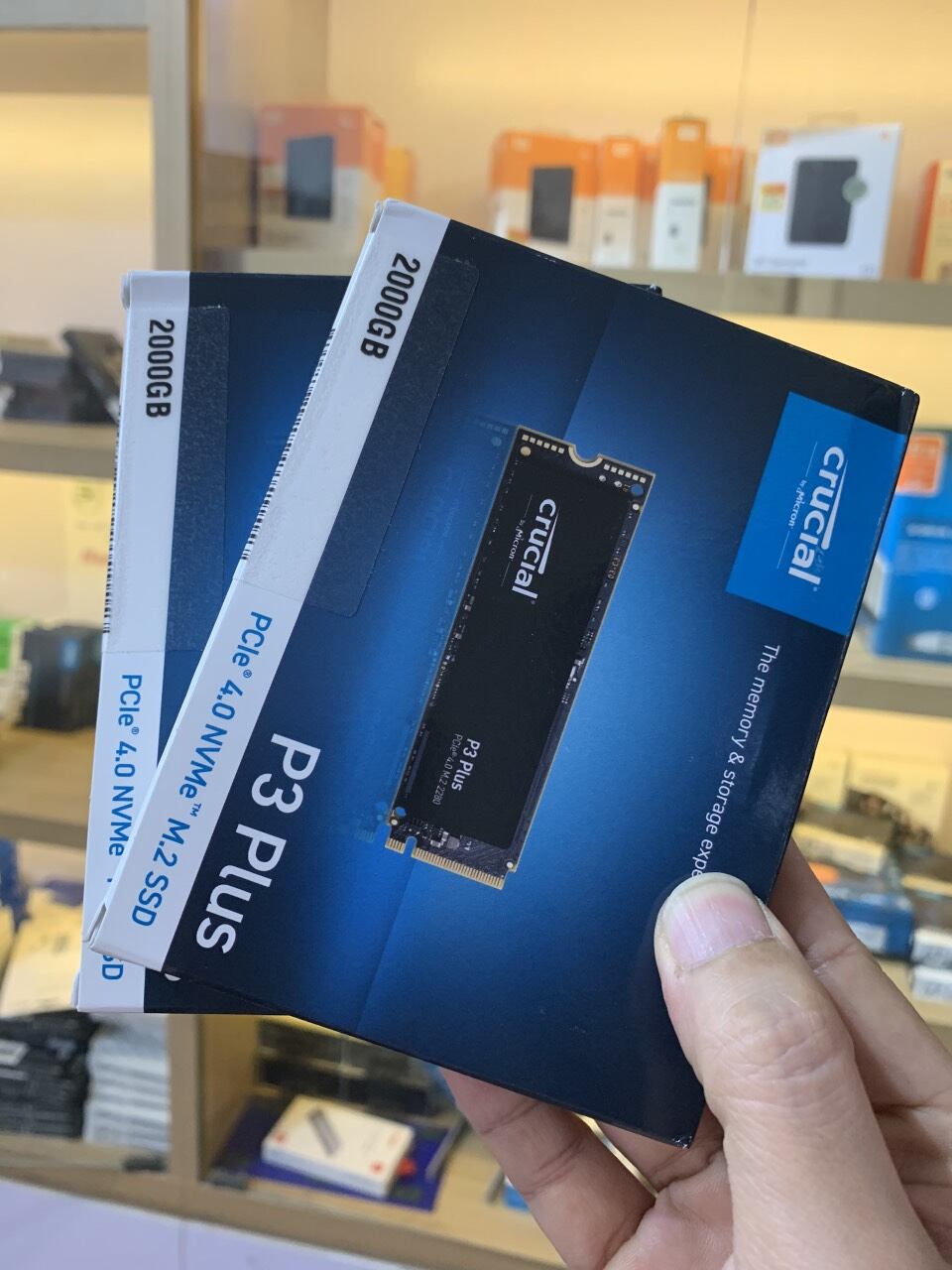 Ổ cứng SSD Crucial P3 Plus - 2TB M2 2280 PCIe Gen4x4 - Bảo hành 60 tháng