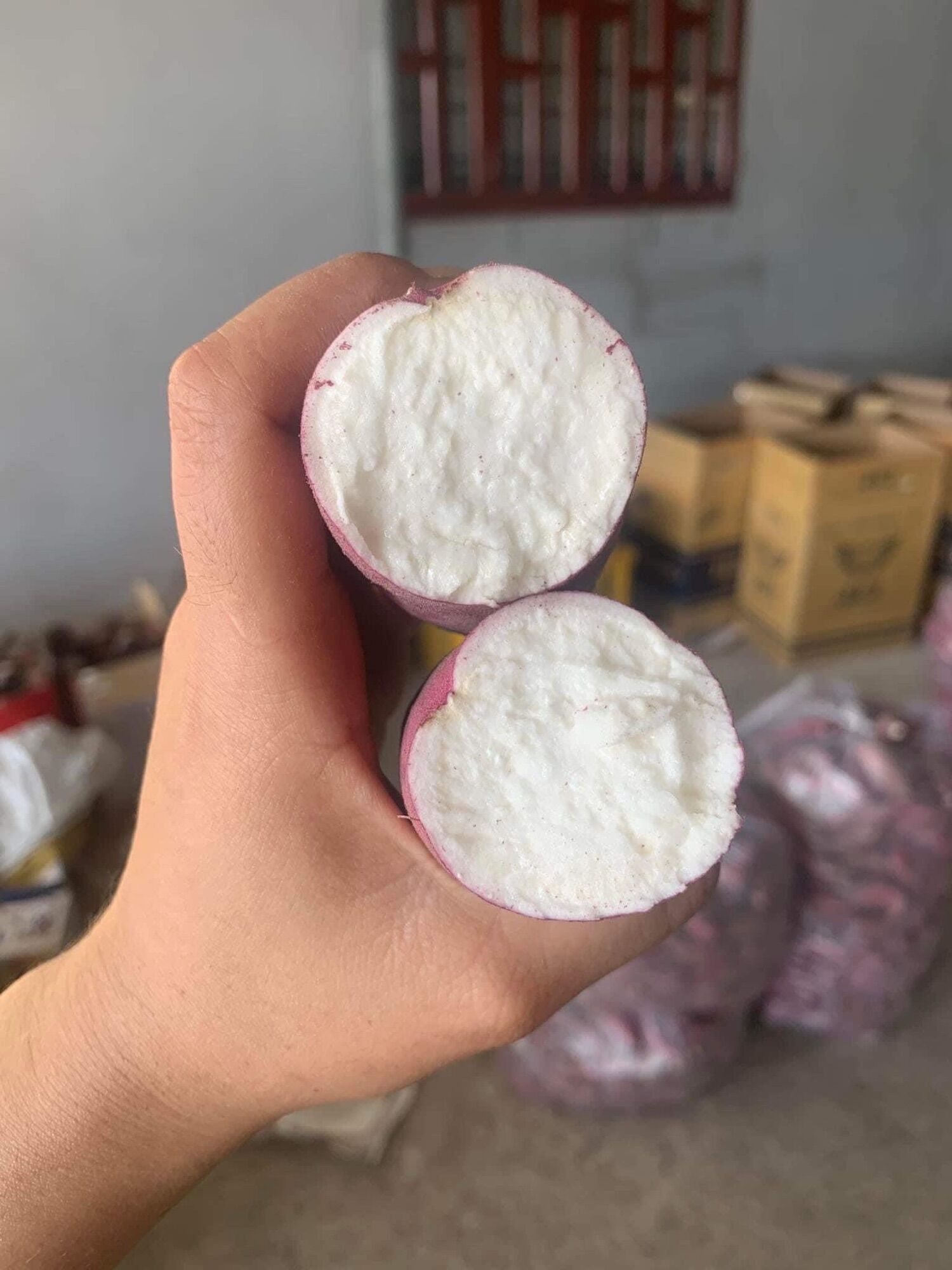 1kg Khoai Lang Campuchia