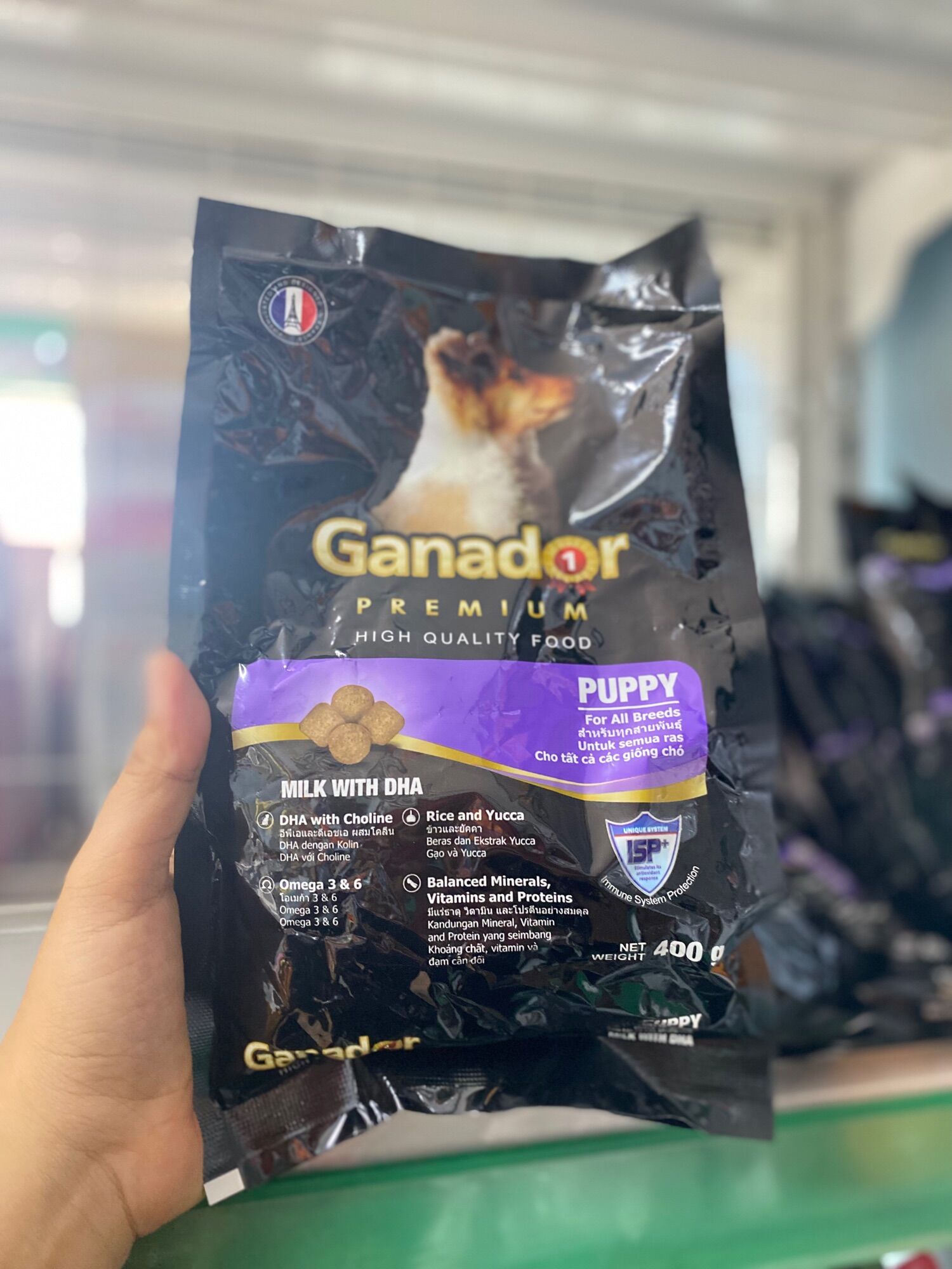 Thức ăn khô cho chó con Ganador